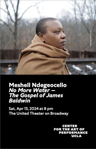 House program cover for Meshell Ndegeocello, featuring image of Meshell wearing a brown scarf looking to the right