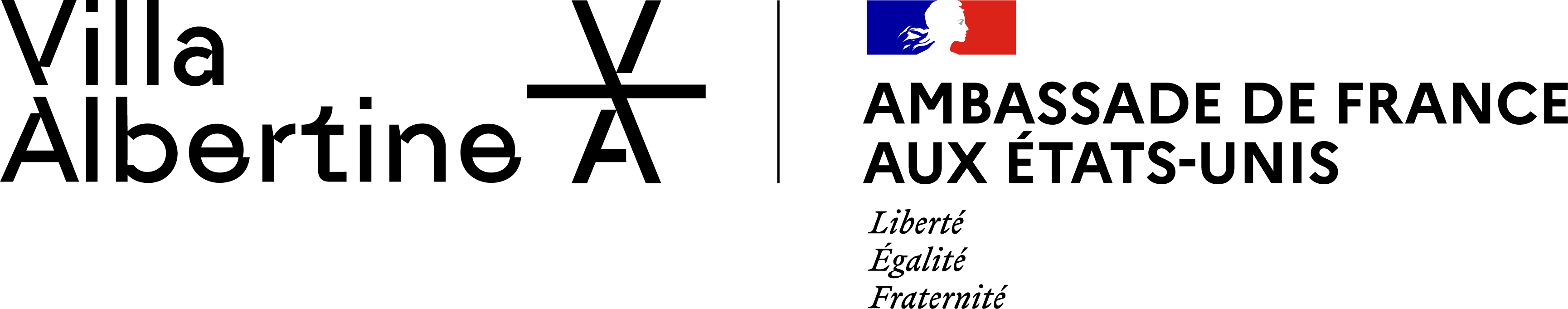 Villa Albertine Logo