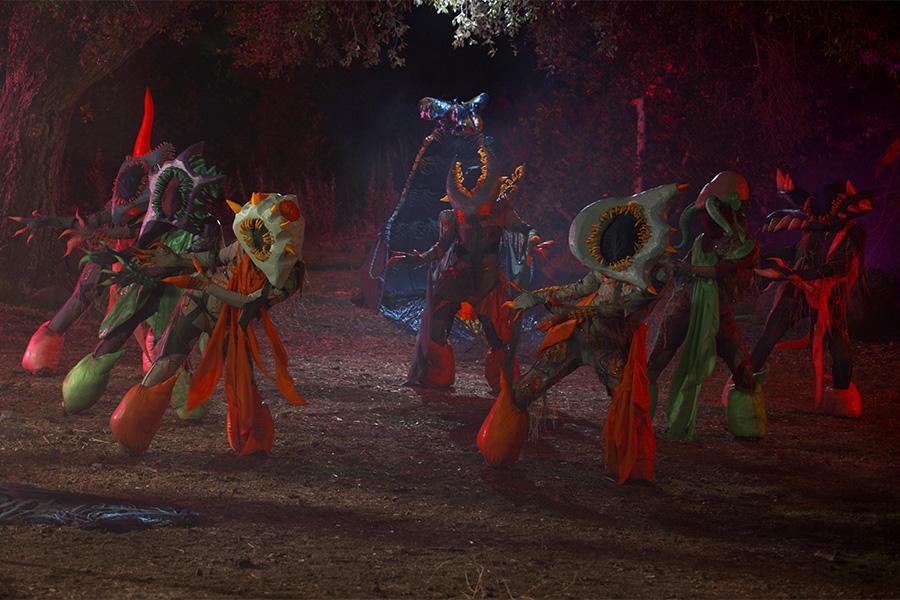 Performers wearing intricate creature-like costumes move through a forest environment in a Beck+Col production. Combining sculpture, performance, and immersive design, the work transforms the natural landscape into a dreamlike theatrical world.